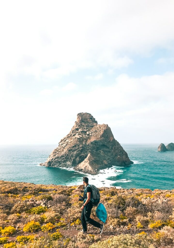 man walking on flower field near coast