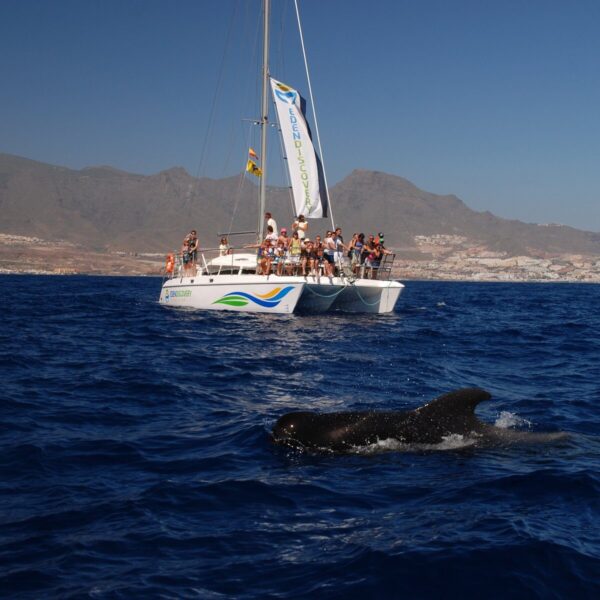 Eden Catamarán - Imagen 2
