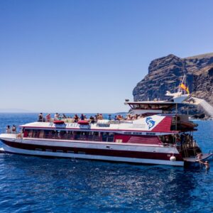 Excursión en Catamarán Royal Delfin con Visión Submarina