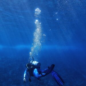 Inmersión Guiada para Buceadores Certificados (Big Fish Dive Center)