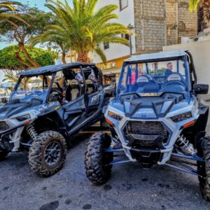 Excursión en Buggy al Teide con Visita a Bodega