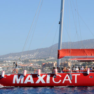Excursión en Catamarán Ecológico Maxicat