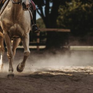 Rutas a Caballo en Tenerife: Centro Hípico Xanadú