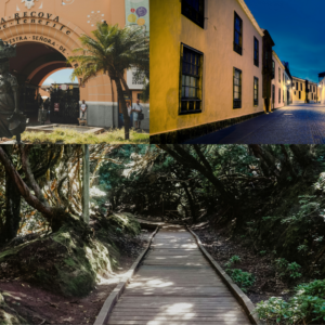 Tour por Santa Cruz, La Laguna y Parque Rural de Anaga