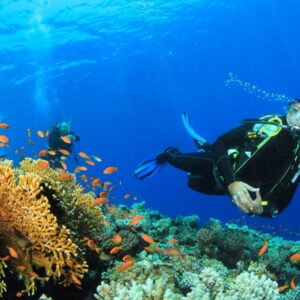 Discover Scuba Diving: Curso de Buceo de 1 Día (Big Fish Dive Center)